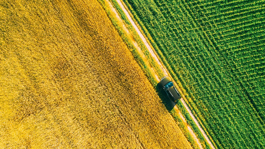 Campos en Argentina